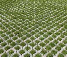 Газонная решетка 400х400х80 - КРЭМП | ЖБИ изделия и материалы для благоустройства территорий